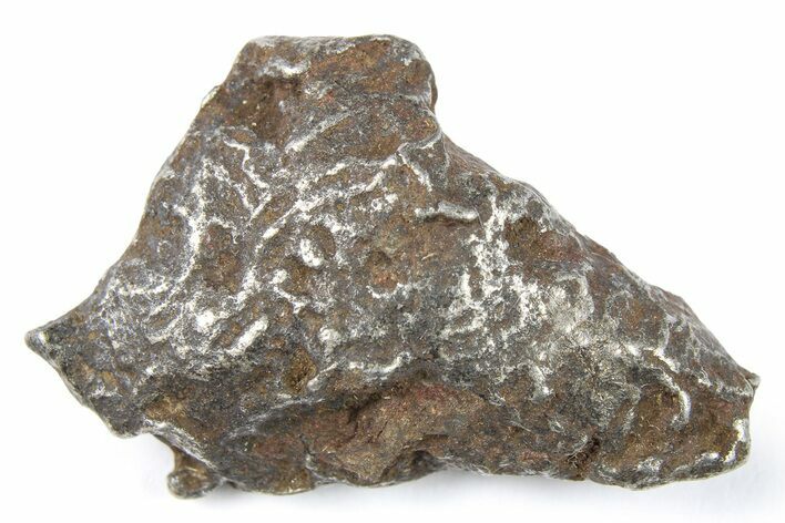 Gebel Kamil Iron Meteorite ( g) - Egypt #265403